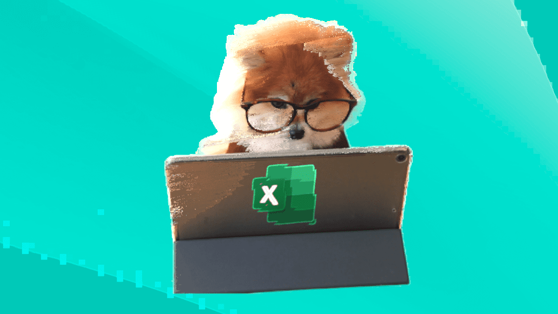 Ein kleiner Hund mit Brille schaut konzentriert in einen Laptop, auf dem ein Excel-Symbol abgebildet ist. 